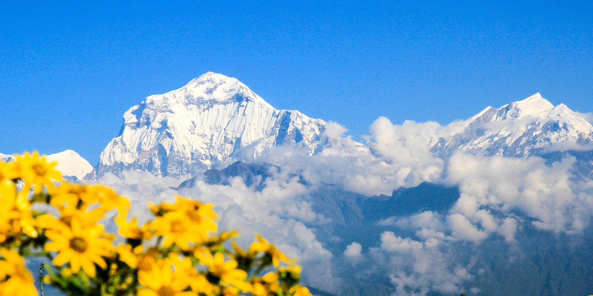 The Royal Trek Annapurna- 09 days