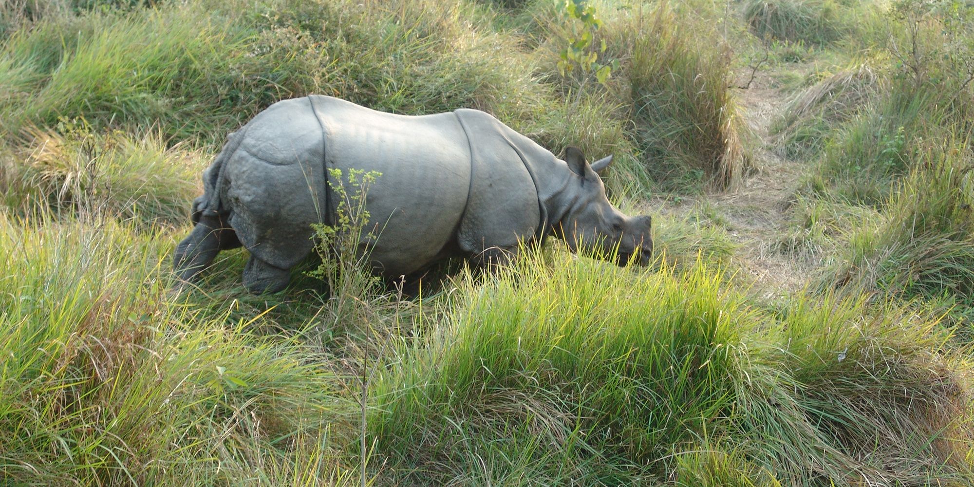 Nepal Scenic Tour (Kathmandu, Nagarkot, Pokhara, Chitwan)